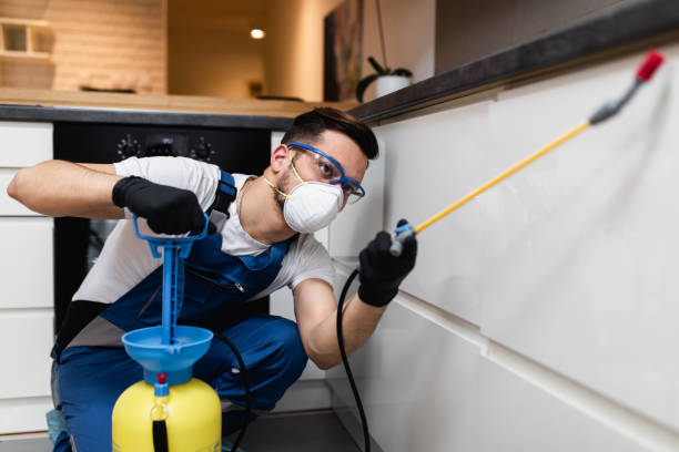 Best Residential Pest Control  in Wolf Lake, MI