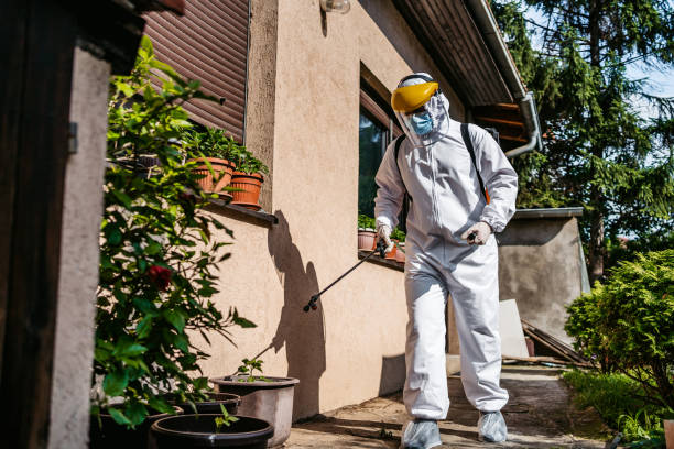 Best Rat Extermination Near Me  in Wolf Lake, MI