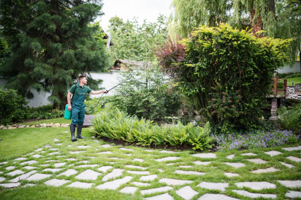 Best Pest Inspection Near Me  in Wolf Lake, MI