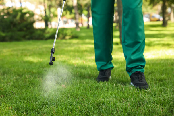 Best Commercial Pest Control Services  in Wolf Lake, MI