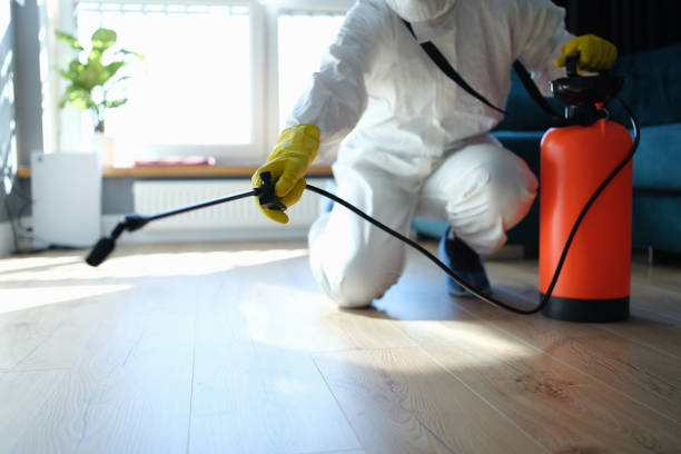 Best Pest Control Near Me  in Wolf Lake, MI