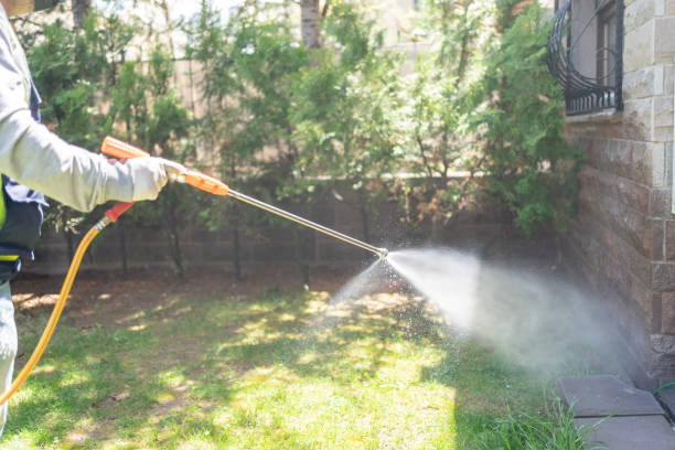 Trusted Wolf Lake, MI Pest Control Experts