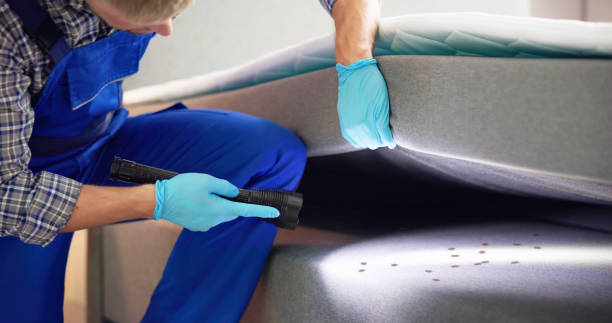Best Affordable Pest Control Services  in Wolf Lake, MI