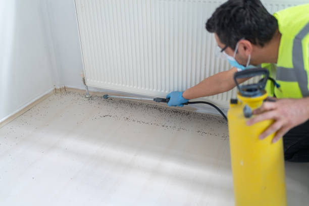 Best Pest Removal Services  in Wolf Lake, MI